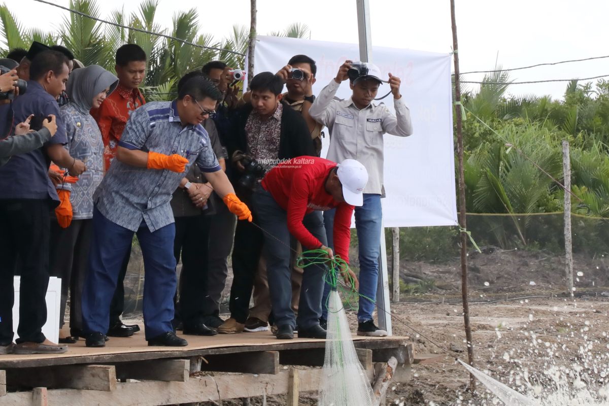 Pengelolaan Potensi Rumput Laut dan Pertambakan Tertata Baik