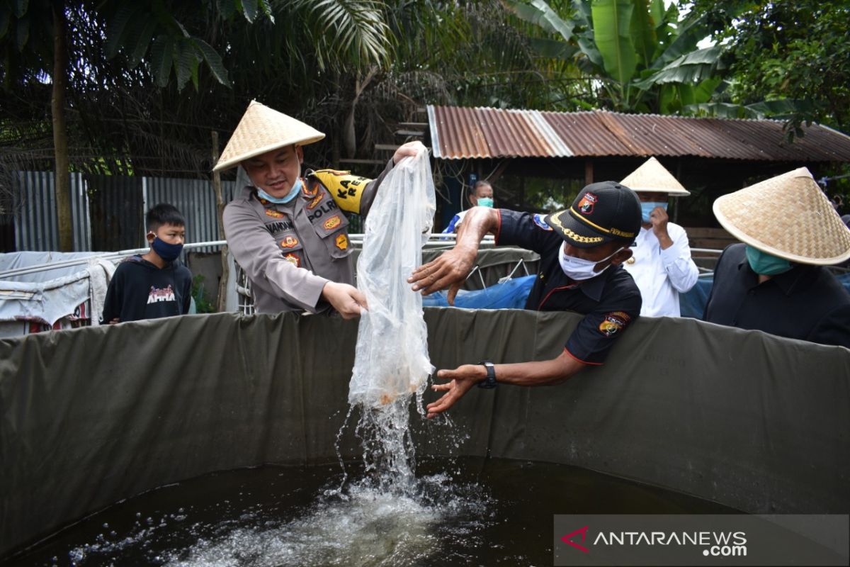 Polresta Pekanbaru salurkan 5 ton beras dan ribuan benih ikan ke masyarakat terdampak Corona