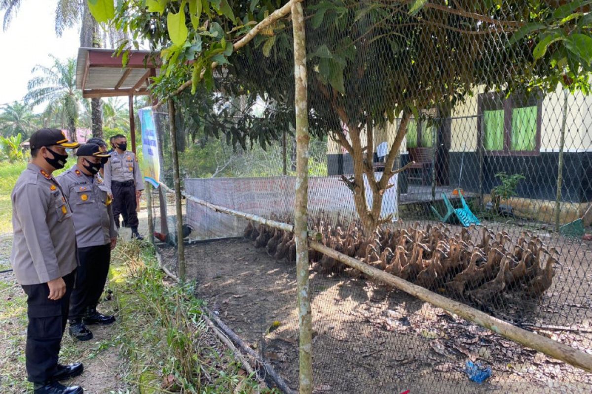 Bantu ekonomi warga, Polres Siak berikan bibit tanaman dan bebek petelur