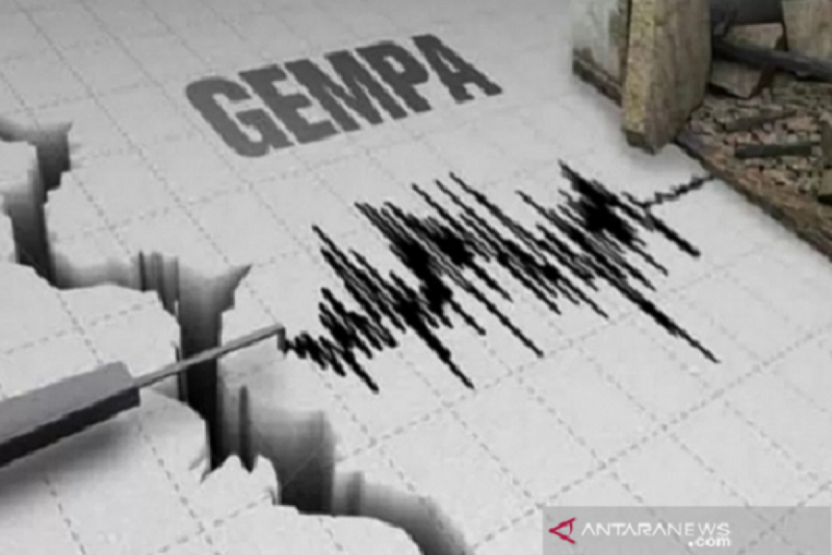 Gempa bumi magnitudo 4,3 guncang Liwa-Lampung Barat