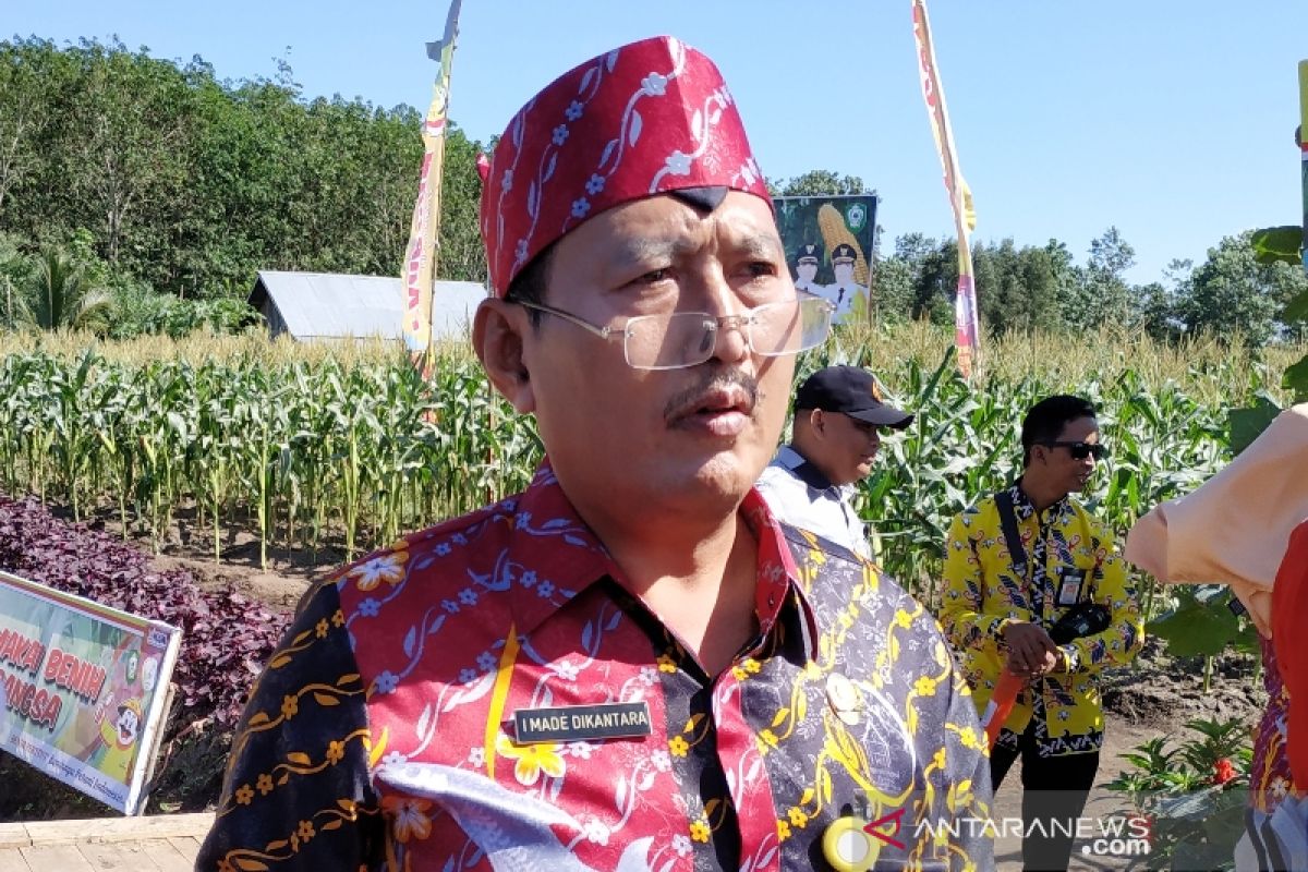 Dinas Pertanian Kotim dorong kebangkitan petani milenial