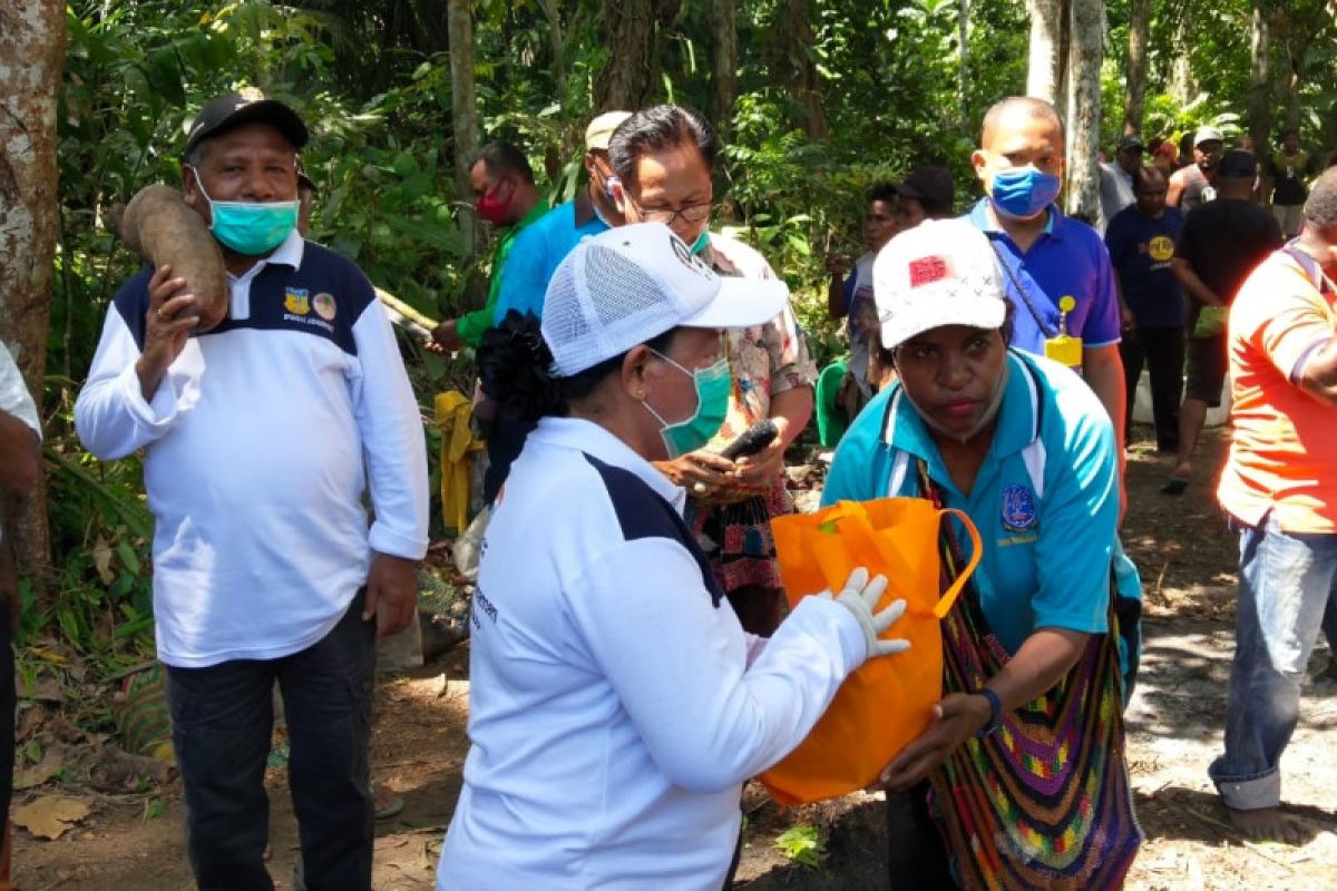 PKK Jayapura salurkan bantuan bibit sayuran dan buah