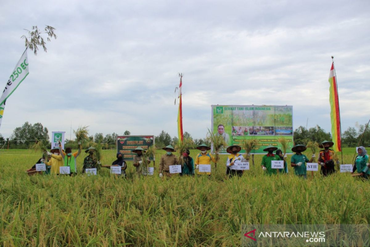 STII Inhil diminta mampu cetak 100 hektare sawah per desa