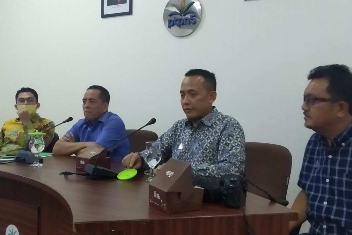 Klise pencurian sawit dan kasus hukum IRT di Rokan Hulu