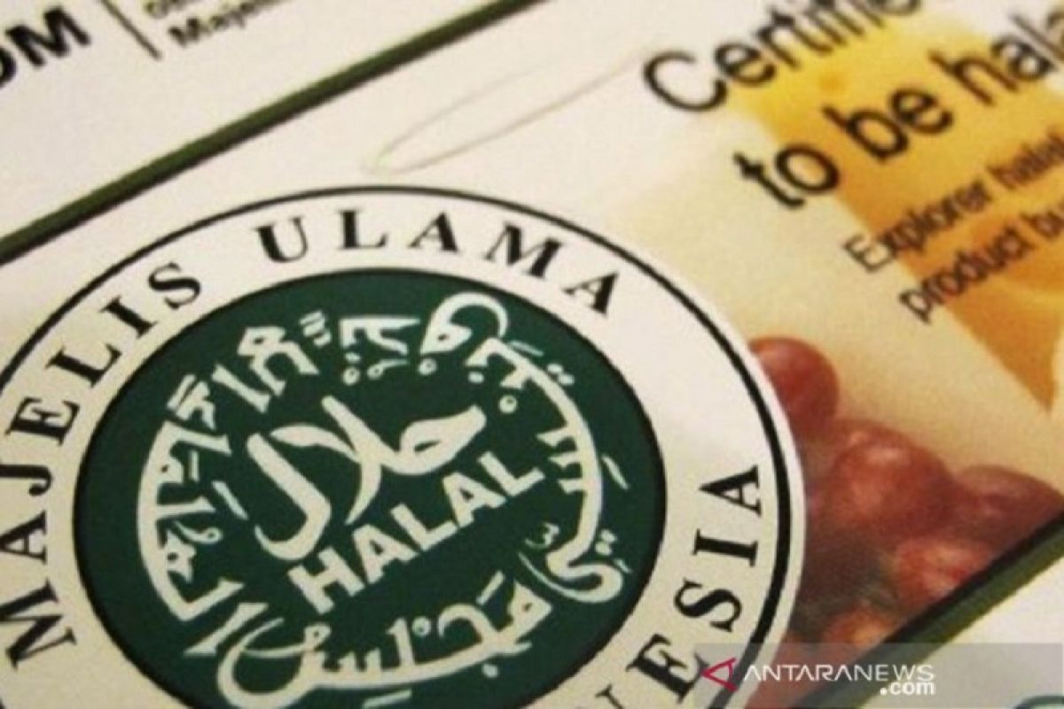 MUI: COVID-19 tidak hentikan proses sertifikasi halal