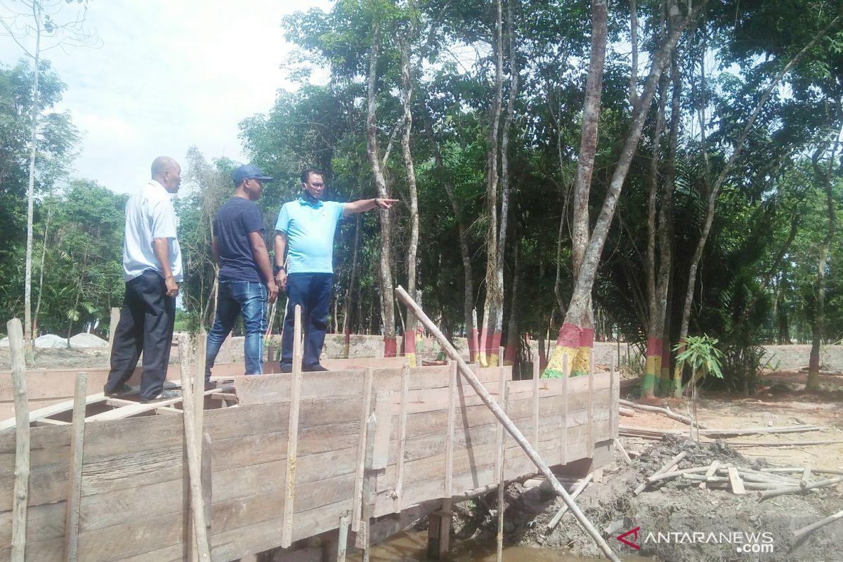 Bupati Rokan Hilir tinjau pengerjaan hutan kota