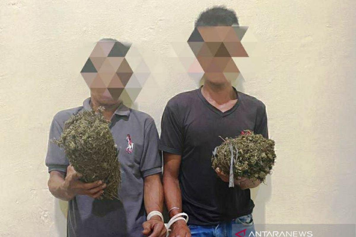 Ngebut hendak melintasi posko COVID-19 dan dikejar polisi, ternyata dua warga bawa 6 kg ganja