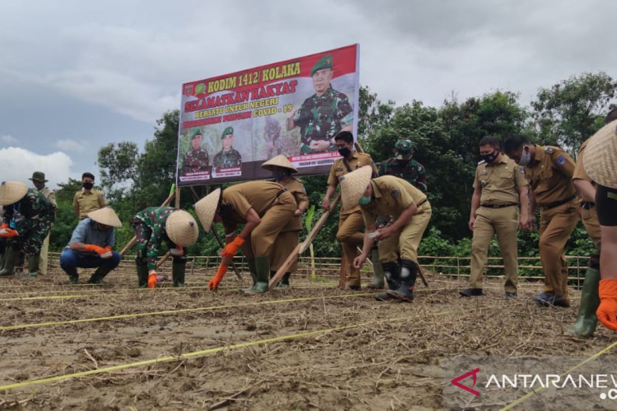 Danrem 143 Haluoleo tanam jagung di Kolaka