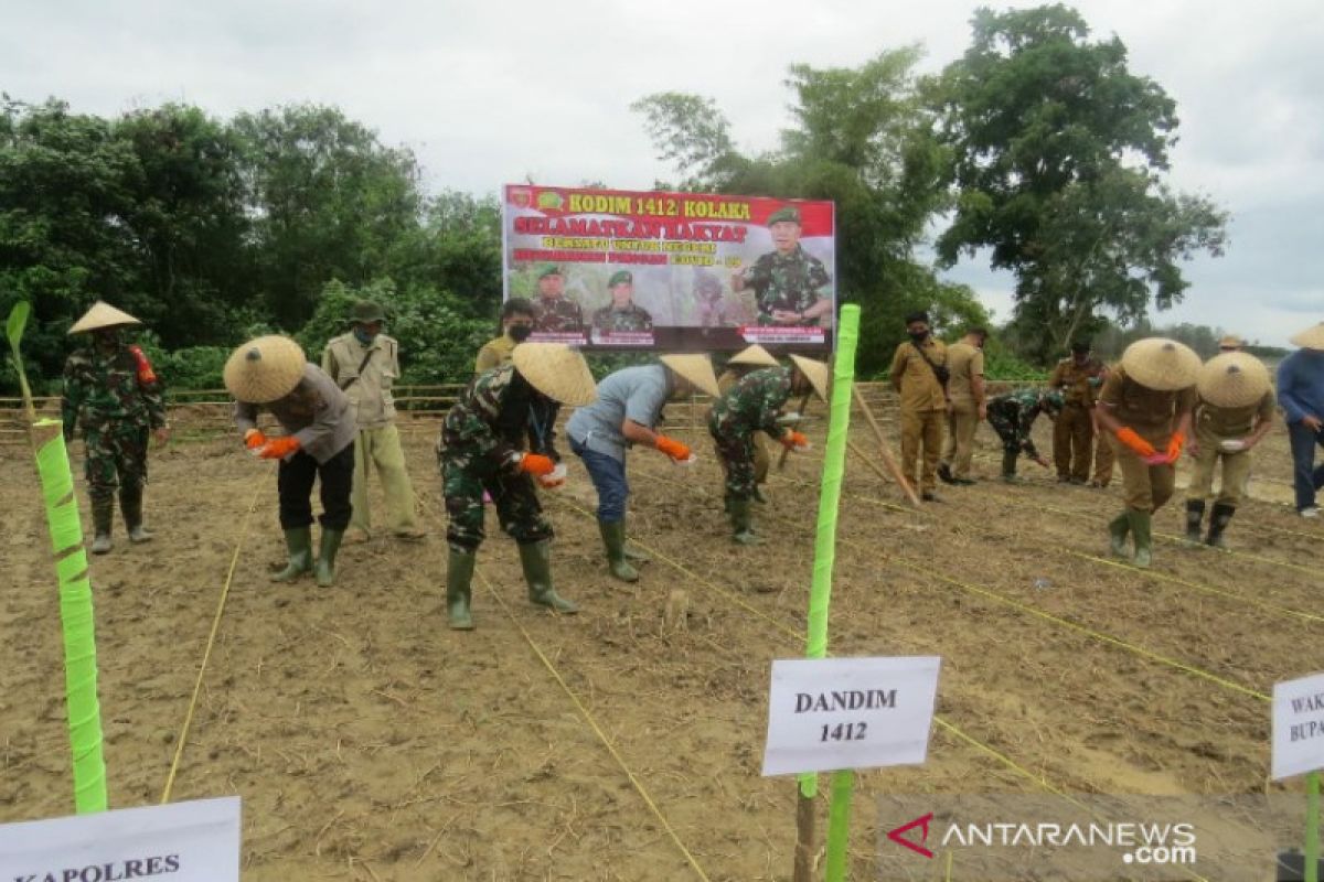 Danrem 143/HO bersama Bupati Kolaka tanam jagung untuk menjaga ketahanan pangan