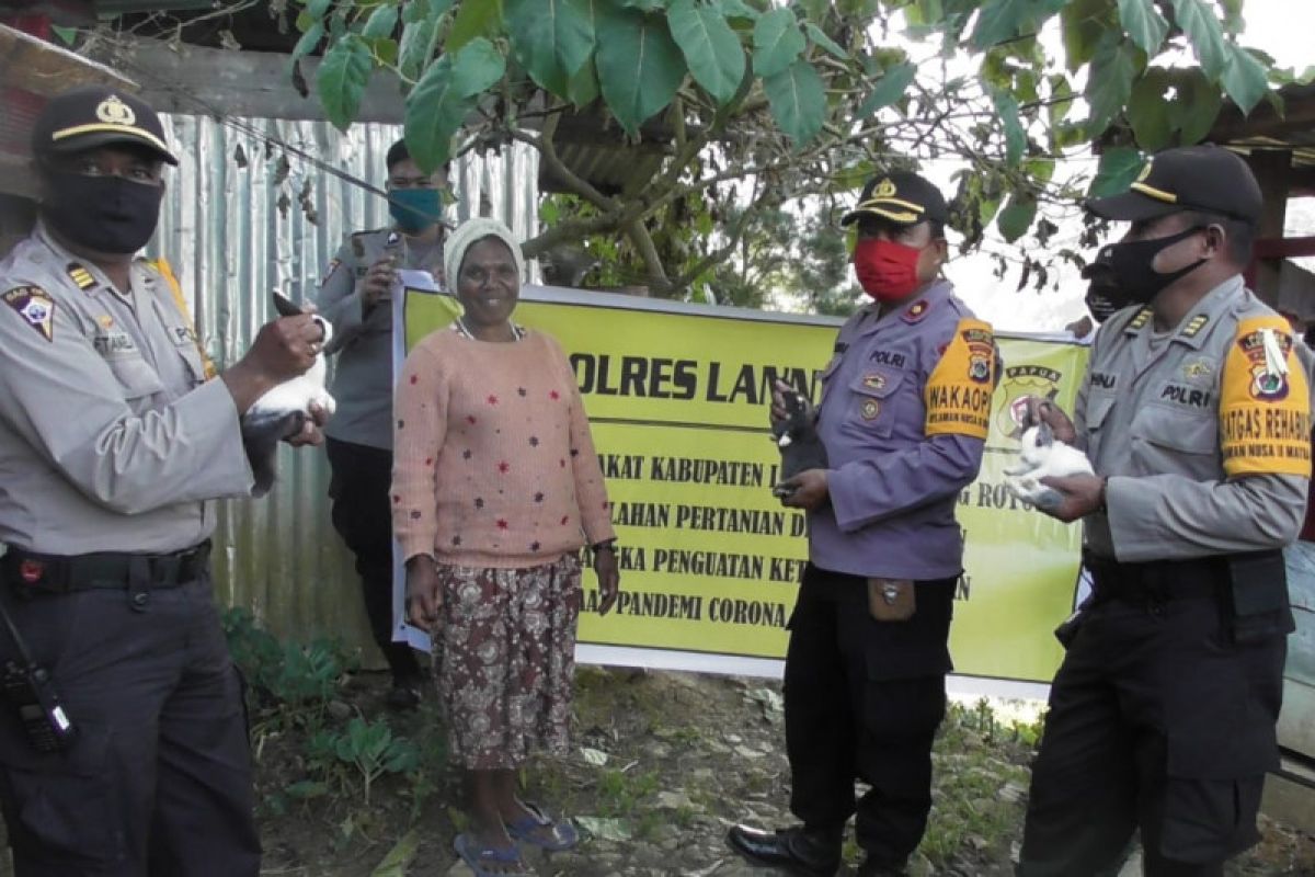 Polres Lanny Jaya serahkan bantuan bibit sayur dan ternah ke kelompok tani