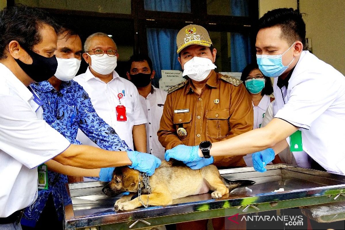 Vaksinasi rabies di Bartim dilakukan di Puskeswan hingga kunjungan ke desa