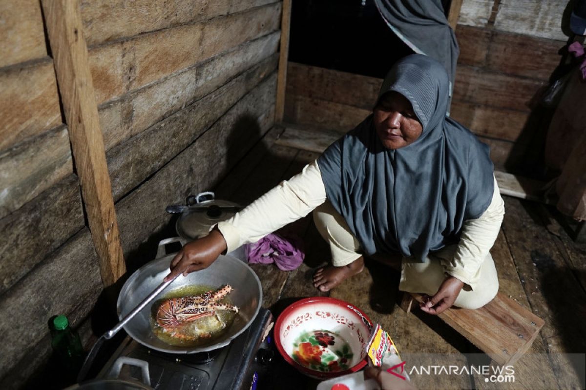 Masakan lezat Lobster ala kampung suku Bajo Tilamuta