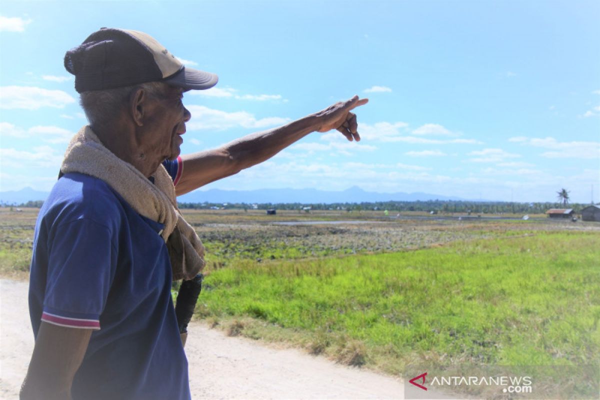 Petani Kupang keluhkan saluran irigasi rusak