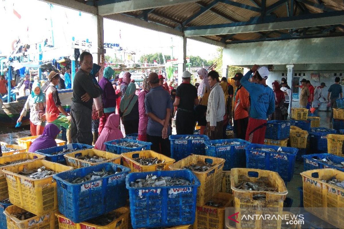 Aktivitas lelang ikan TPI di  Batang sepi