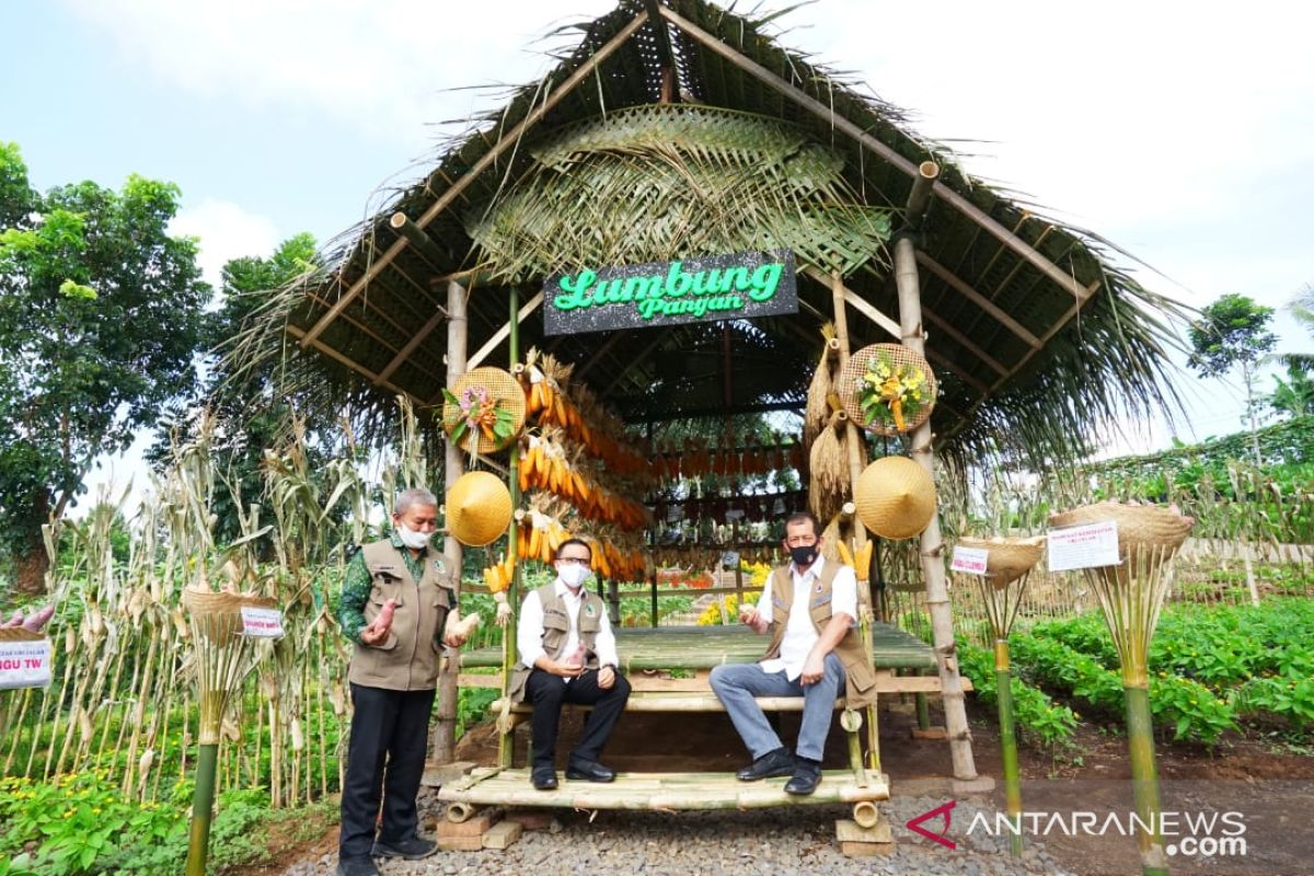 Doni Monardo puji Pemkab Banyuwangi keluarkan sertifikasi protokol kesehatan pariwisata