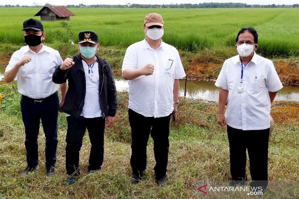 Pusat sediakan Rp6 triliun realisasikan 'food estate' di Kalteng