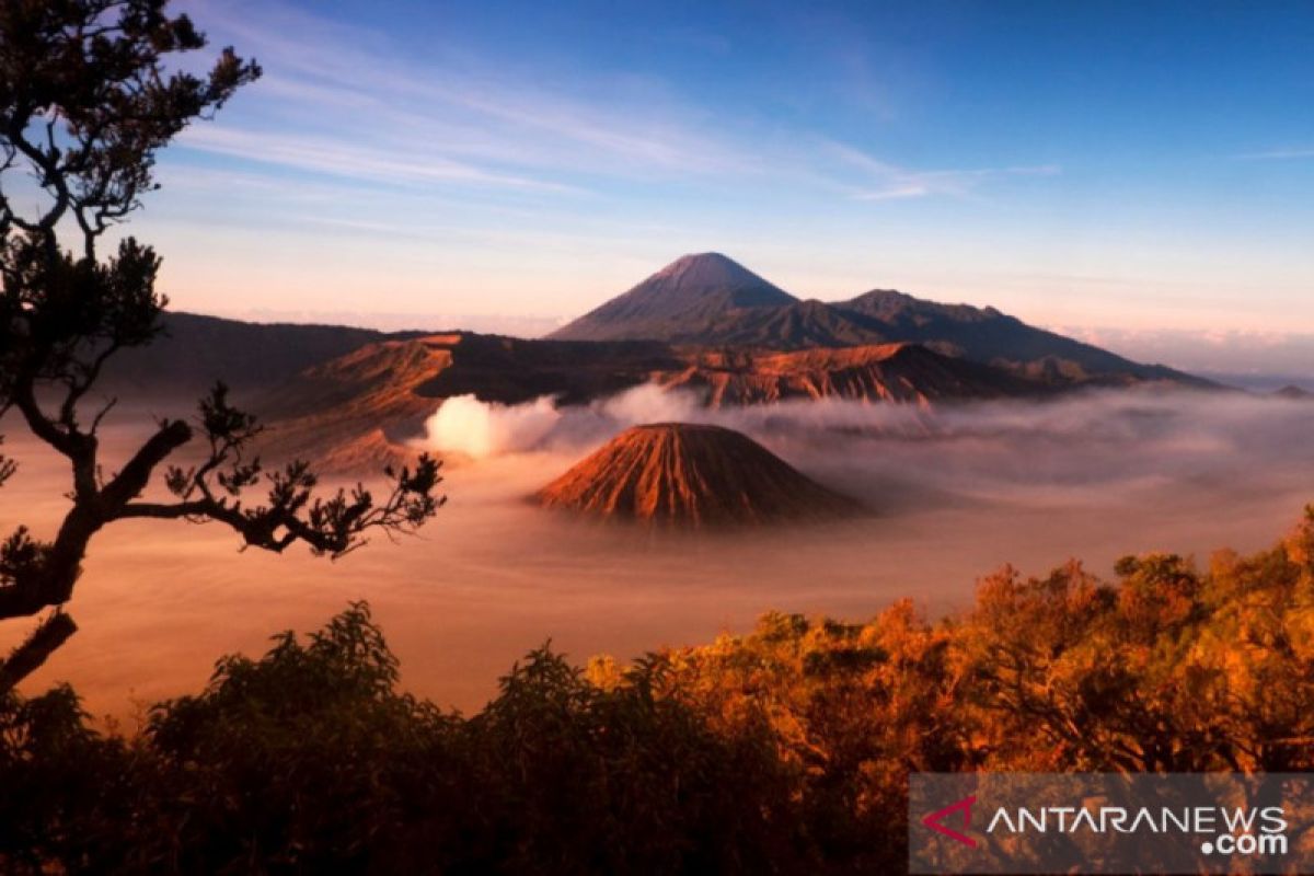 Gunung Bromo bakal dibuka kembali