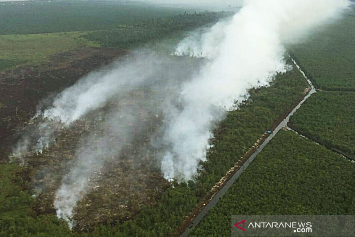 Enam daerah di Riau sudah berstatus siaga darurat karhutla