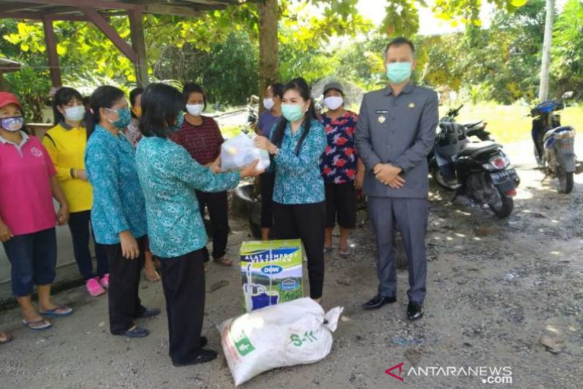 PKK Gumas ajak masyarakat jadikan pekarangan rumah sumber gizi