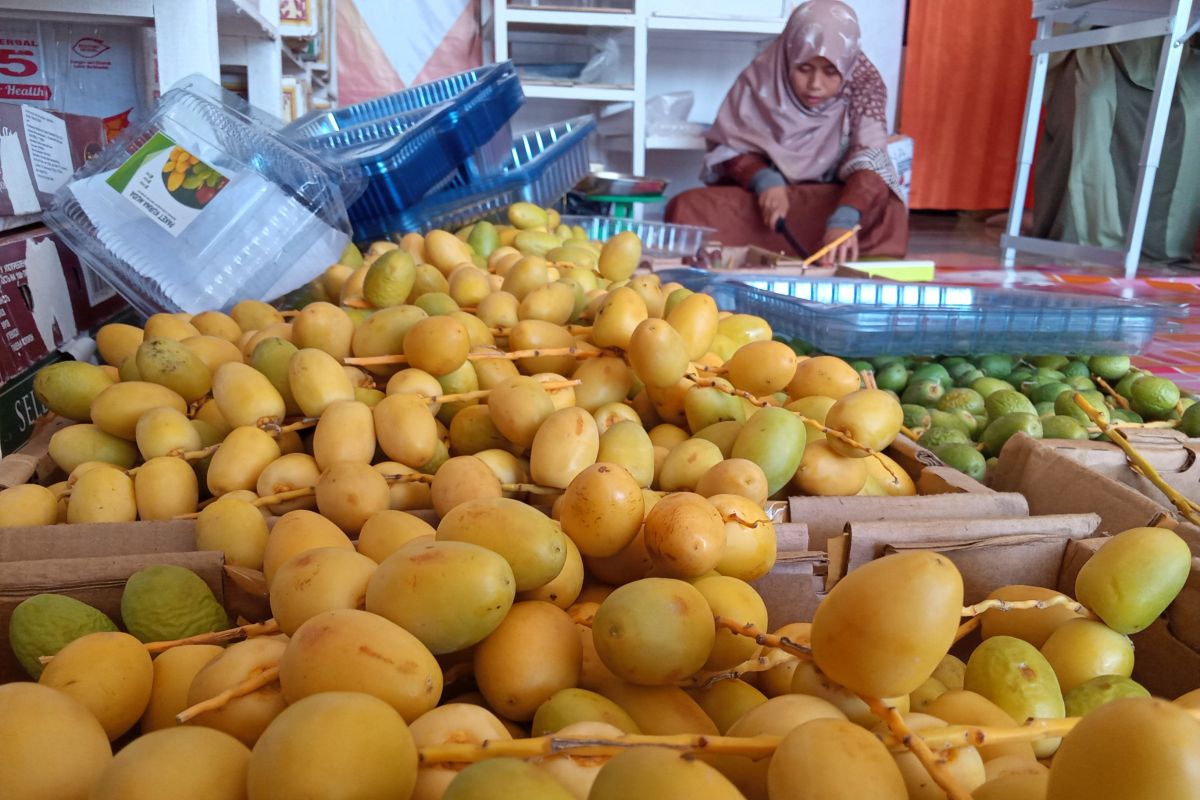 Banyak peminat, usaha kurma muda di Padang laris manis