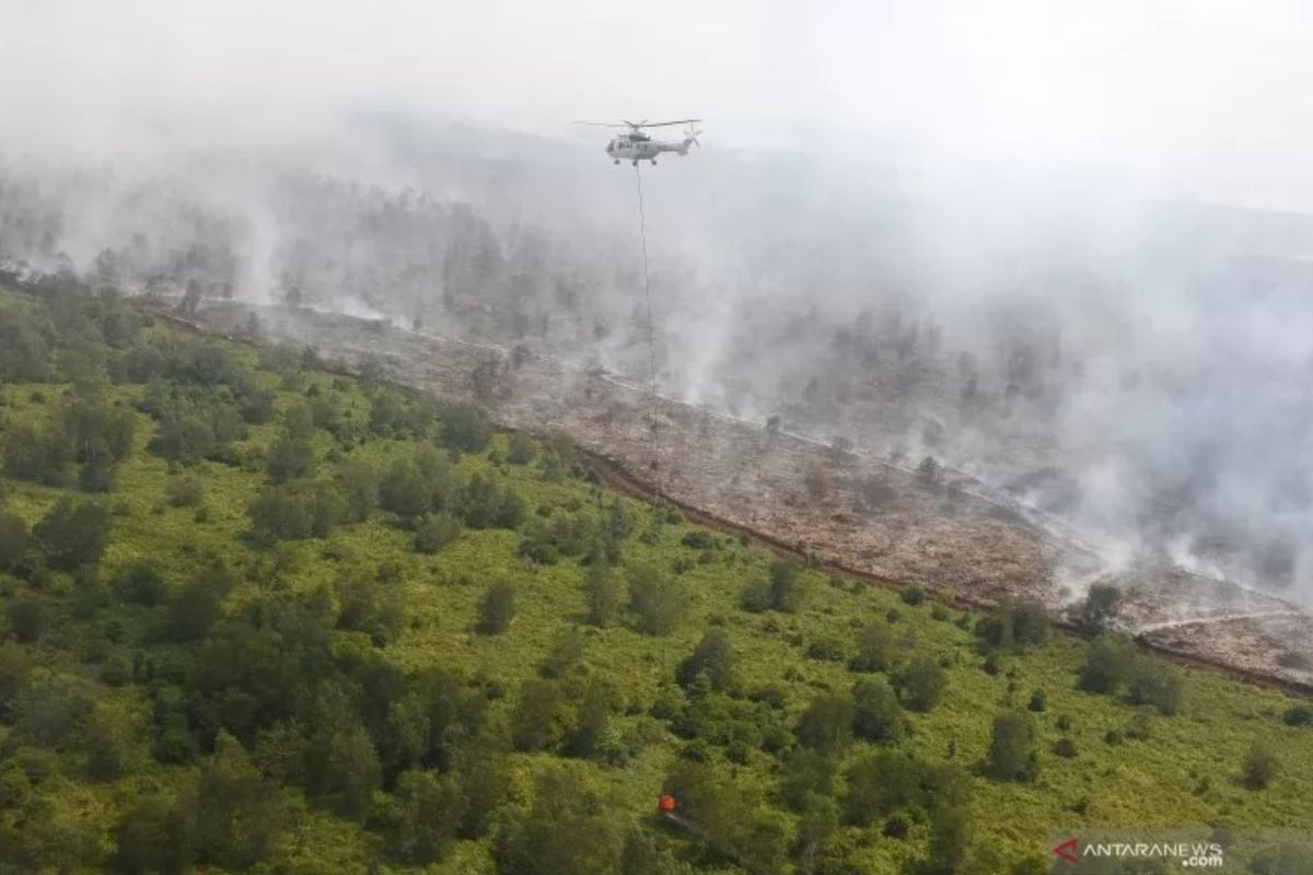 Sumsel siaga satu kebakaran hutan dan lahan, kerahkan seluruh pasukan dan peralatan