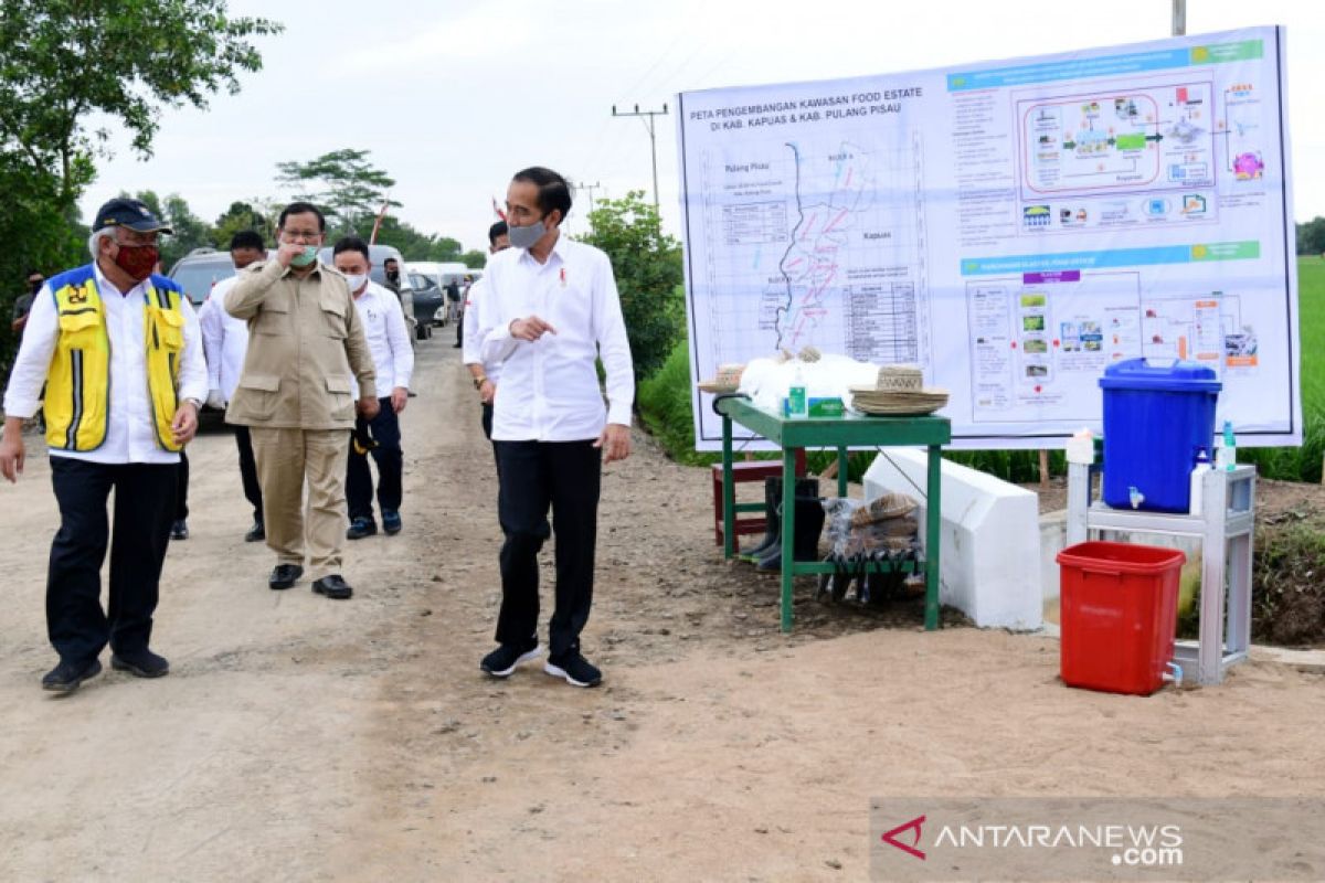 Presiden tinjau program padat karya tunai di Pulang Pisau Kalteng