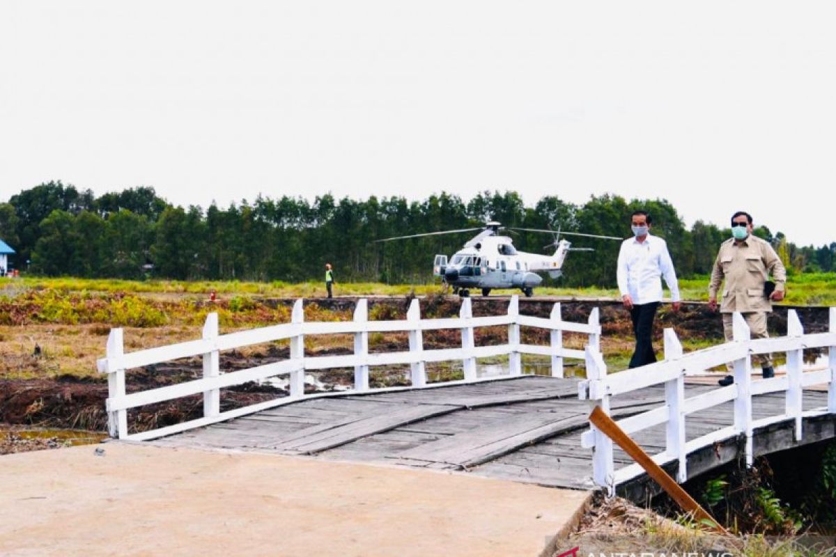 Jokowi kunjungi Lumbung Pangan Nasional di Kapuas Kalimantan Tengah