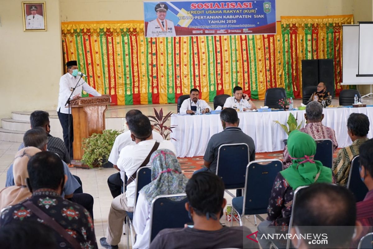 Untuk ketahanan pangan di masa pandemi, Bupati Siak ajak petani manfaatkan KUR