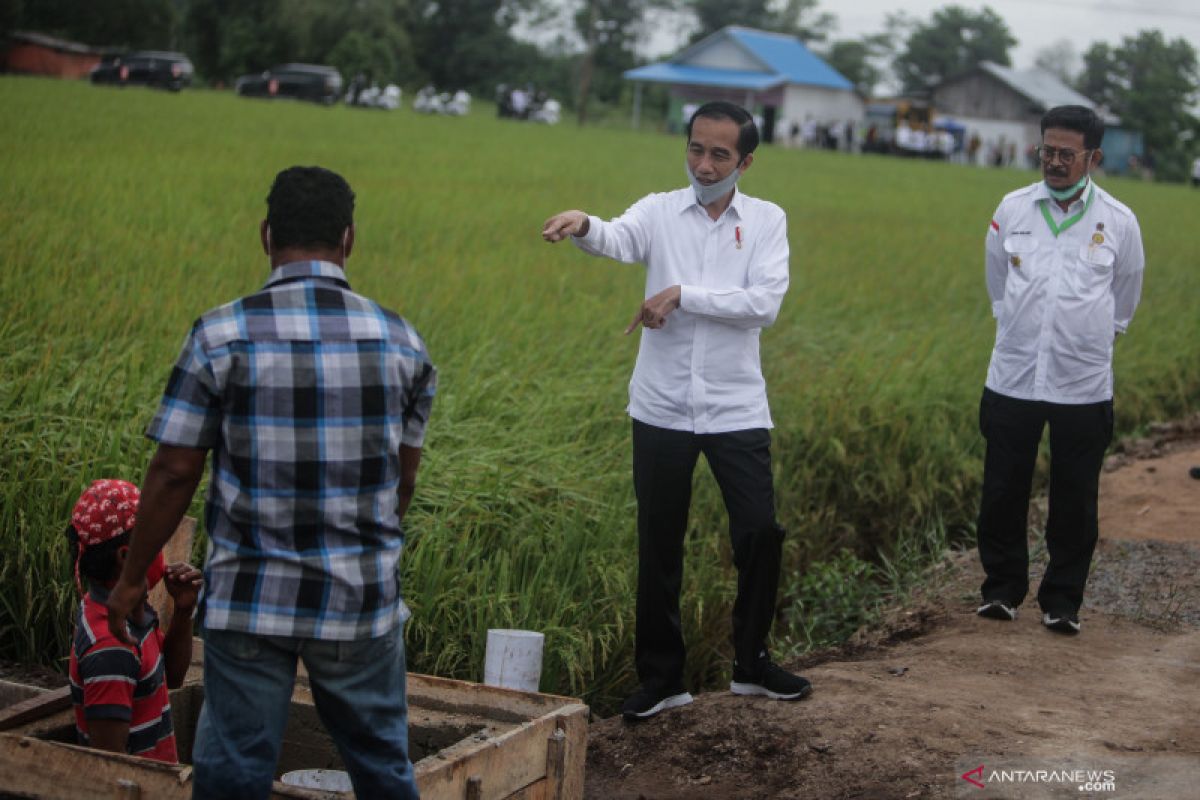 Presiden: Air melimpah di "food estate" Kalteng untuk budidaya ikan