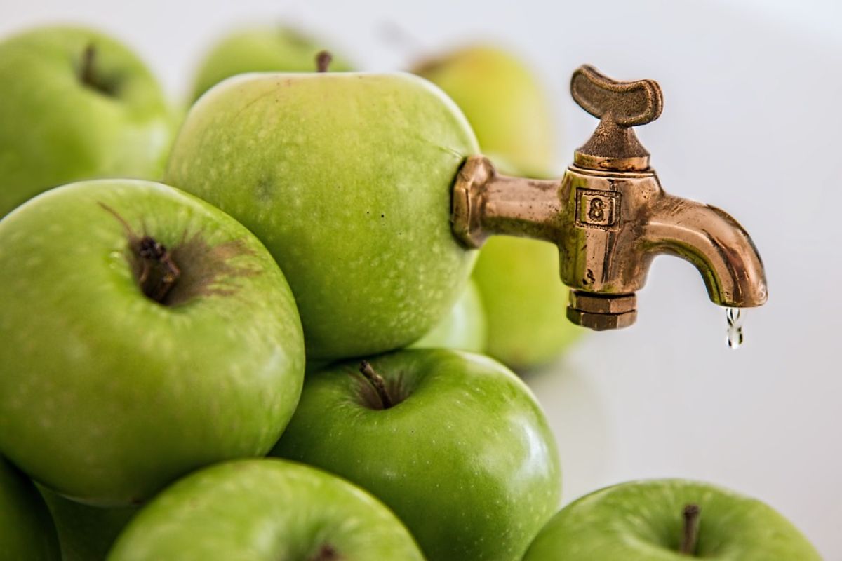 Sehatkah jika hanya minum jus sayur dan buah seharian?