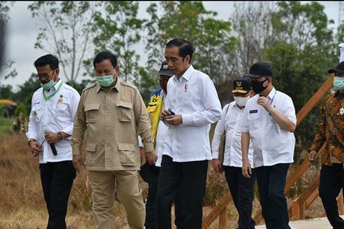 Mentan optimistis pembangunan food estate di Kalteng