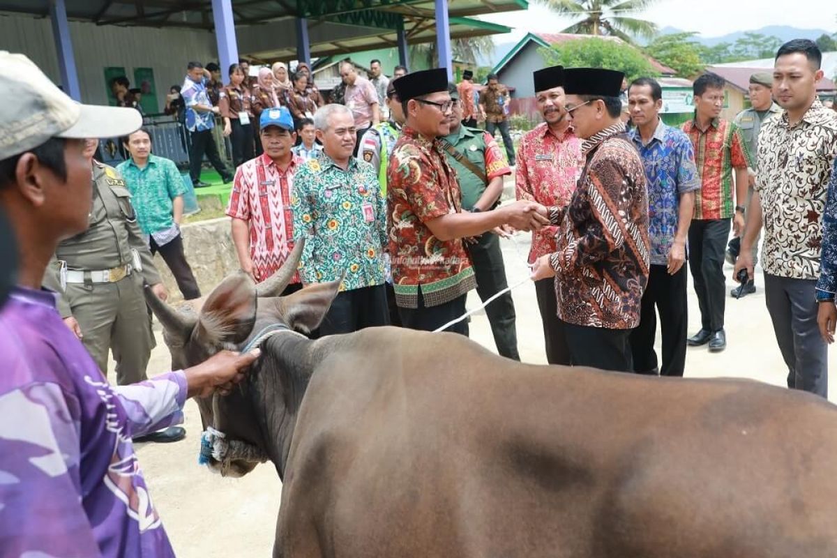 Stok Hewan Qurban Diyakini Aman