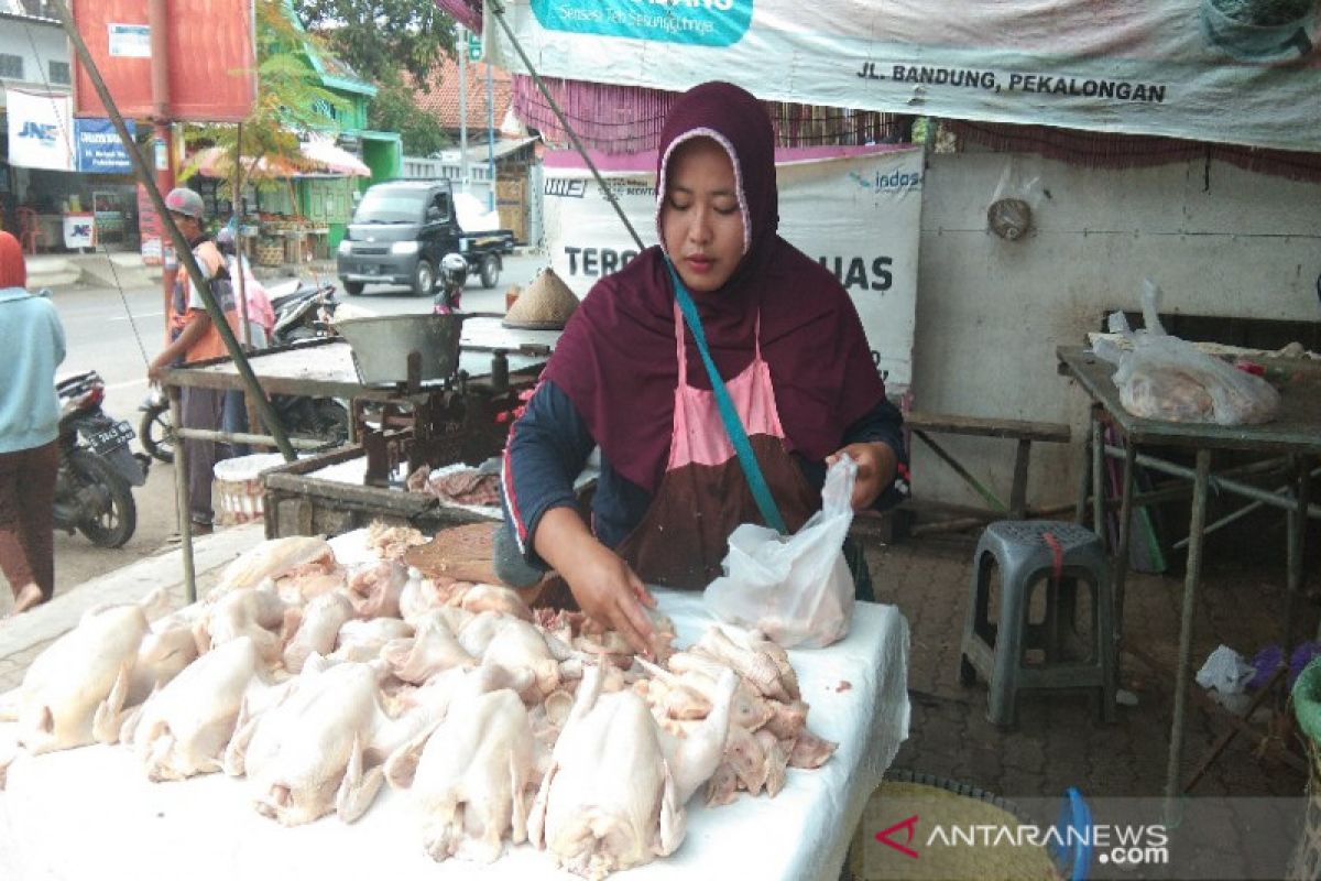 Harga ayam di Pekalongan tembus Rp40 ribu/kg