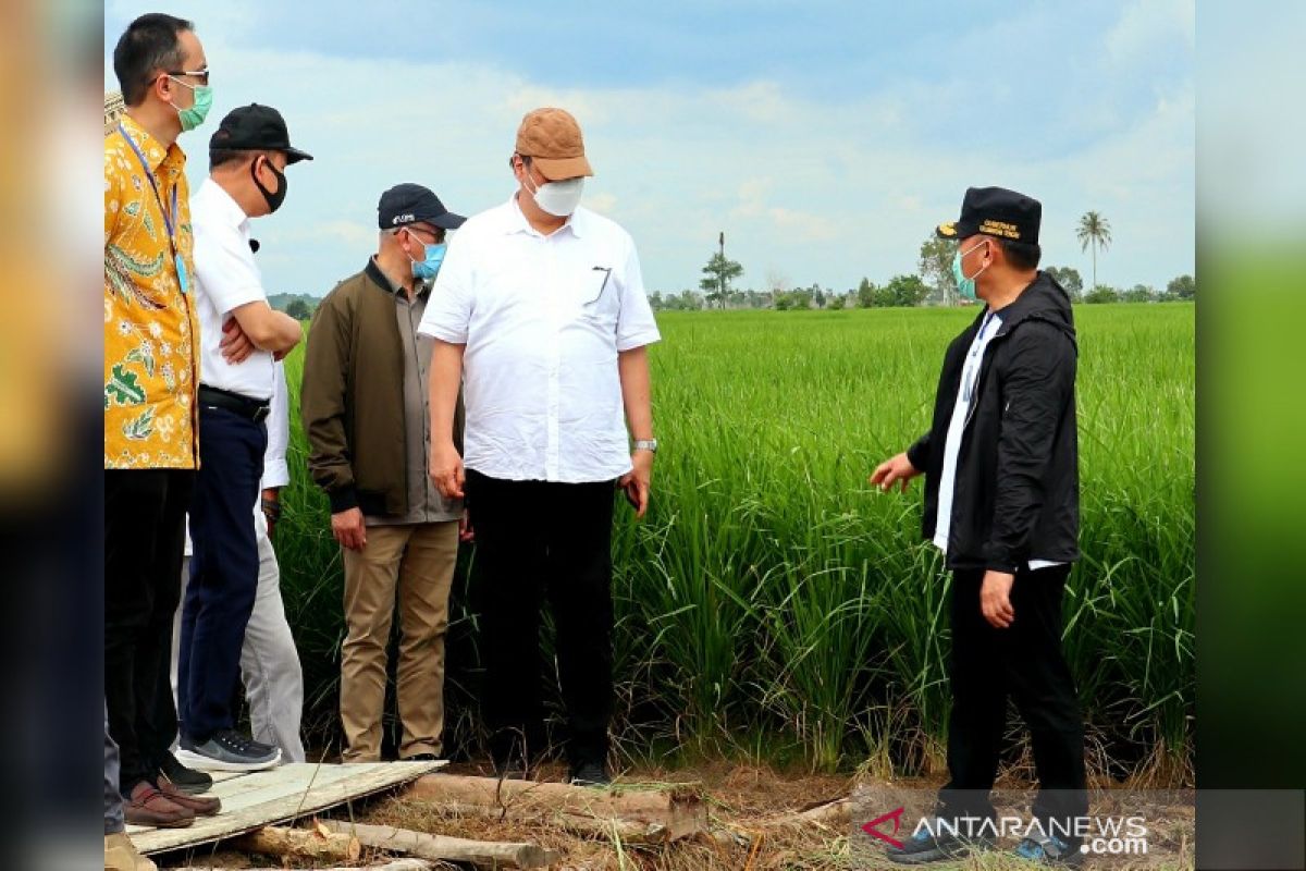 Pengembangan komoditi unggulan melalui pertanian terintegrasi di Kalteng