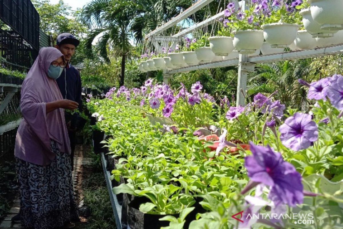 Berkebun dapat stabilkan suasana hati di masa pandemi (VIDEO)