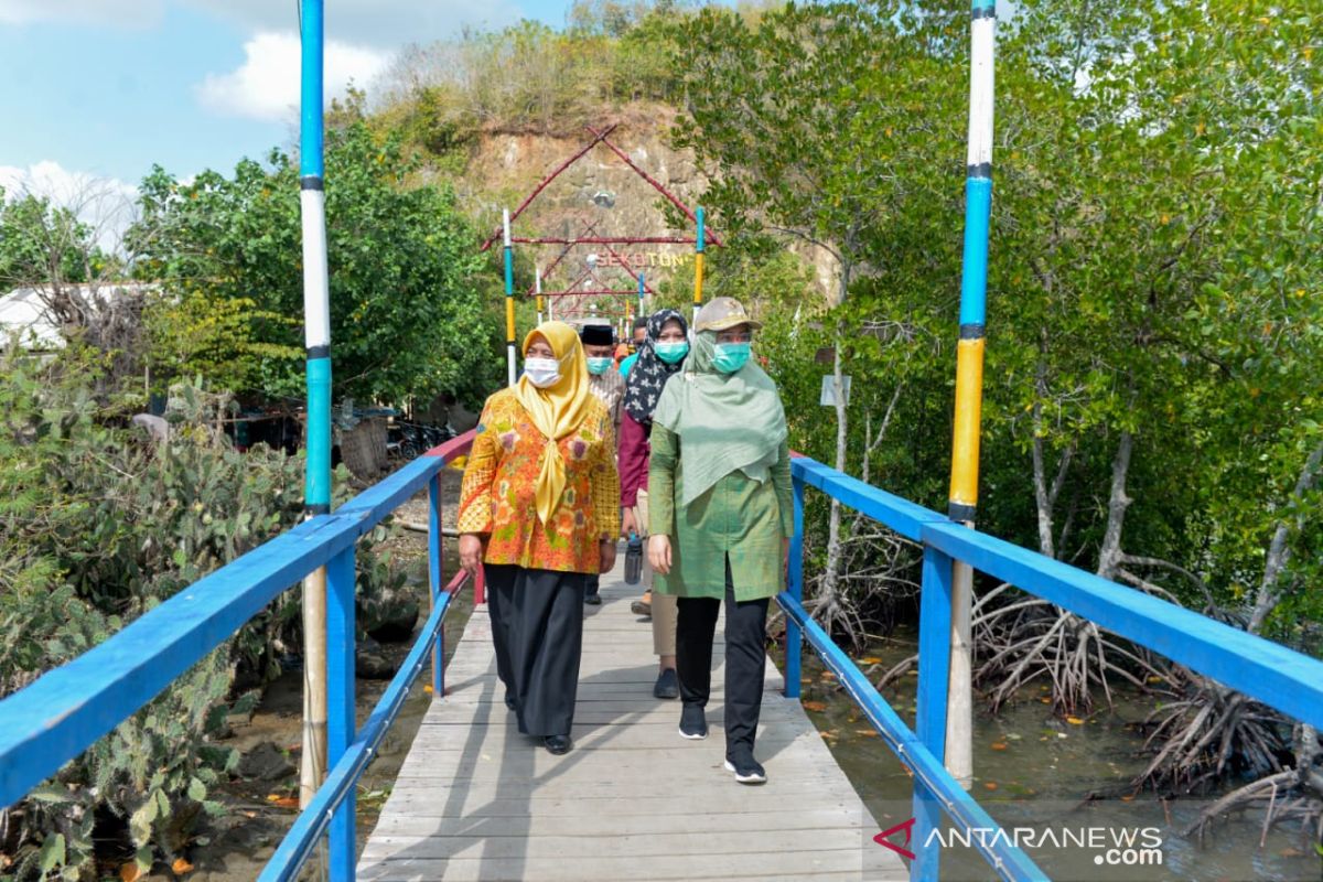 Pemprov NTB membantu penataan kawasan wisata mangrove Sekotong