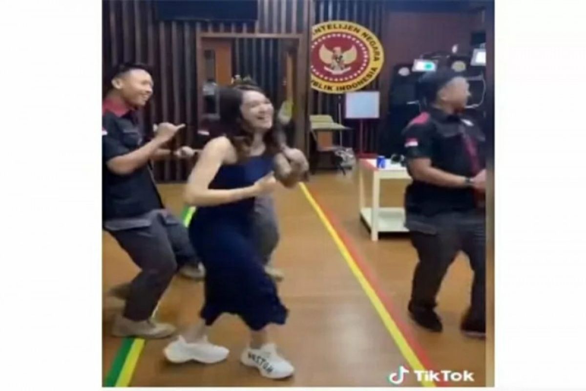 Penjelasan BIN: Video viral TikTok Hana Hanifah