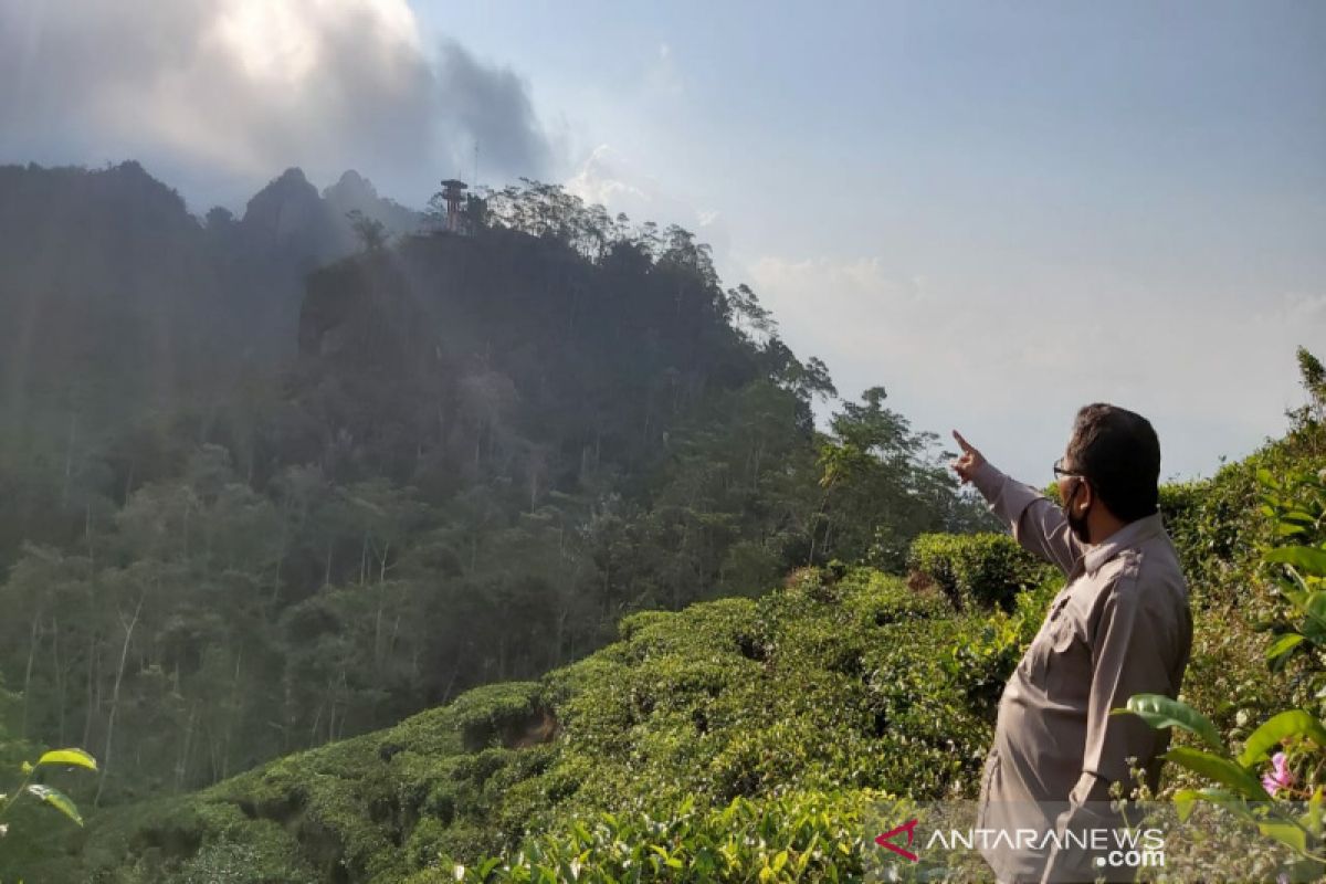 Dinas Pariwisata Kulon Progo diminta membina pelaku wisata Kebun Teh Nglinggo