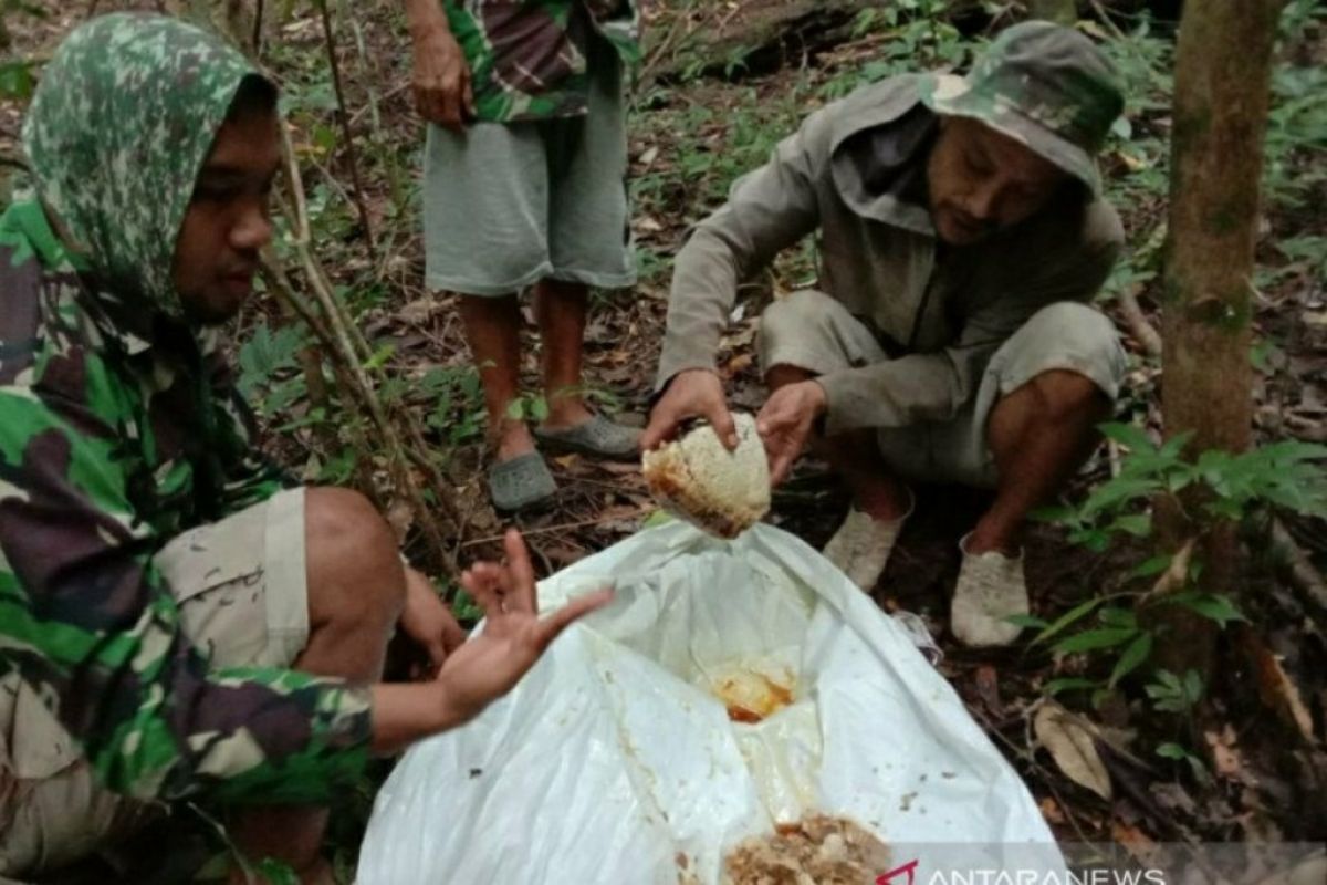 Masa pandemi, permintaan madu hutan meningkat