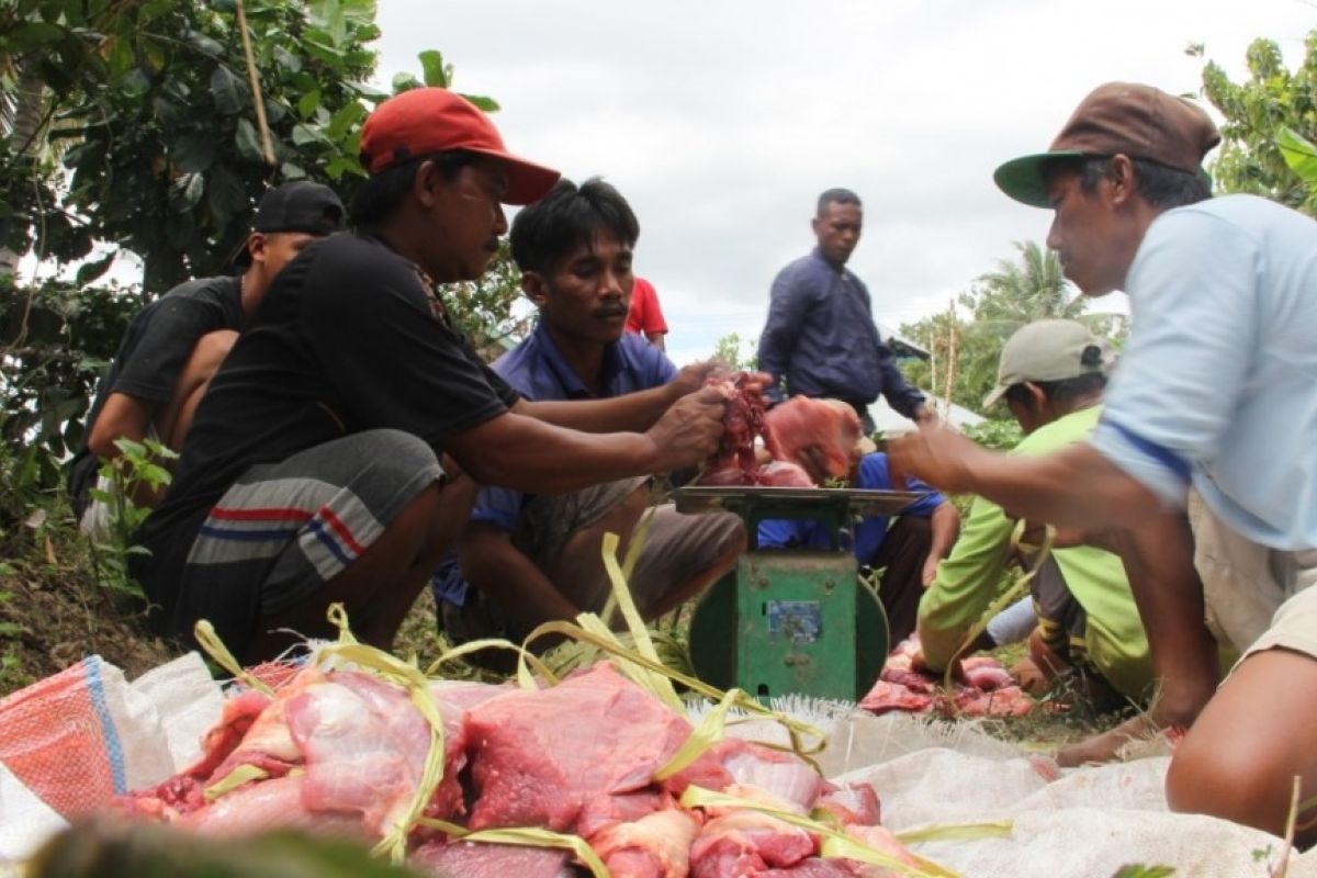 ACT siapkan ratusan paket kurban untuk masyarakat Maluku