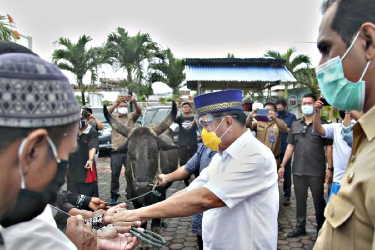 Wali Kota berharap daging kurban tersalur untuk kaum dhuafa