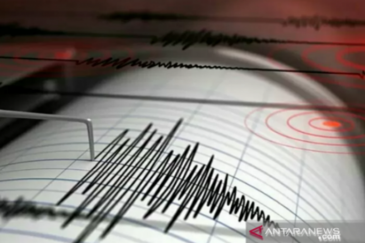 Sebanyak 217 kali gempa susulan terjadi pascagempa Sumba