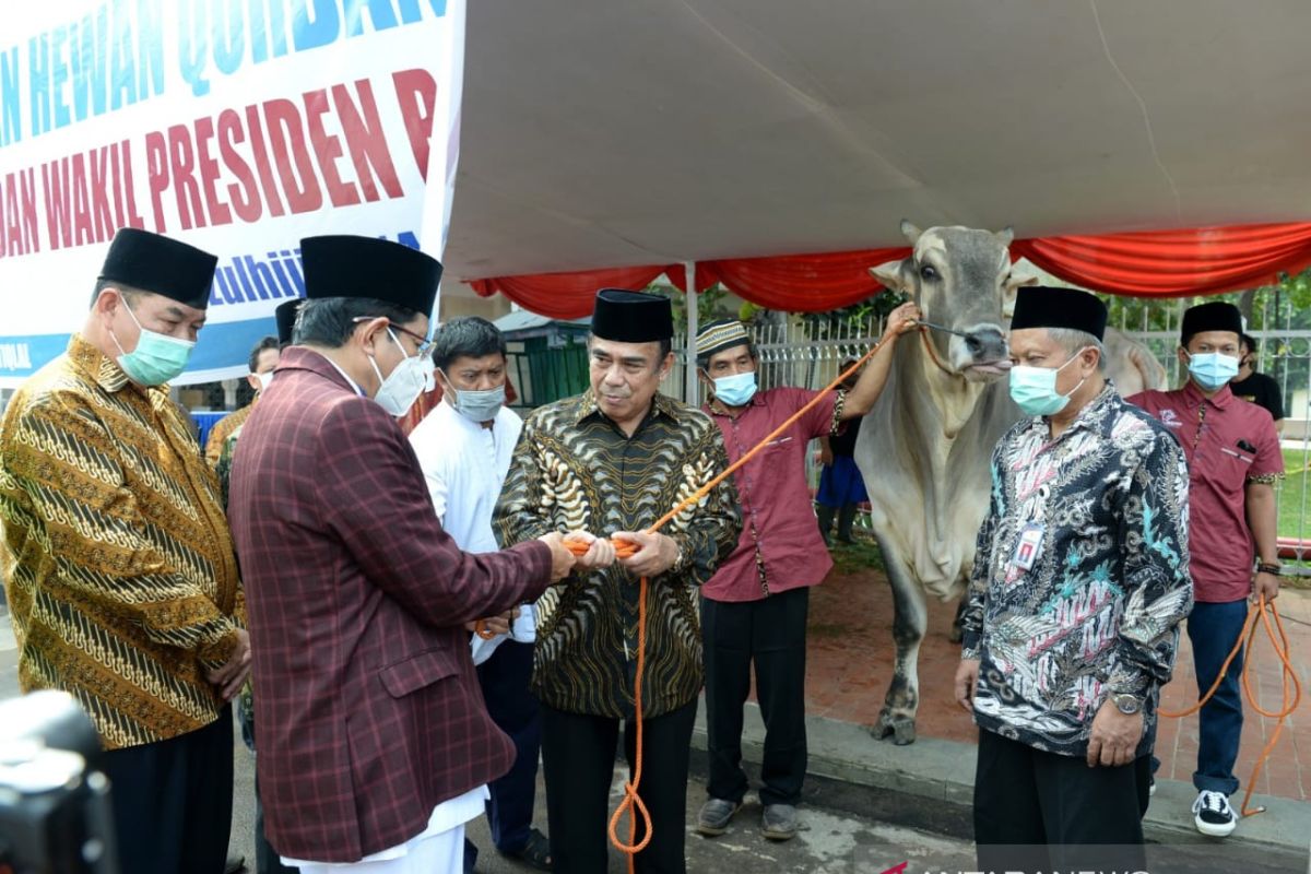 Presiden serahkan sapi kurban seberat 1 Ton ke Masjid Istiqlal