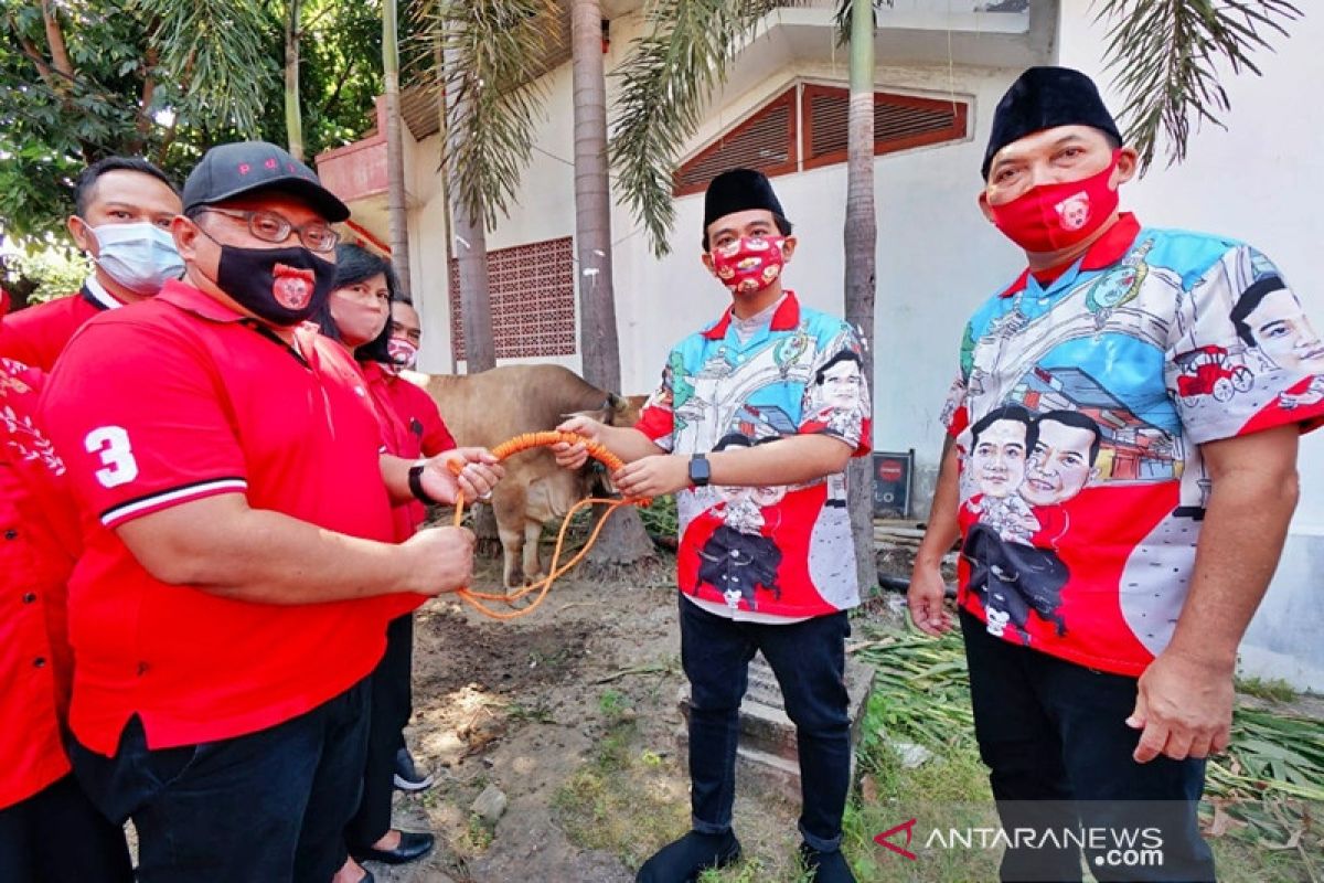 Gibran serahkan sapi kurban kepada PDIP Surakarta