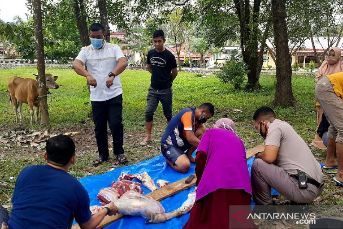 Brimob Polda Sulawesi Tenggara sembelih 39 ekor sapi