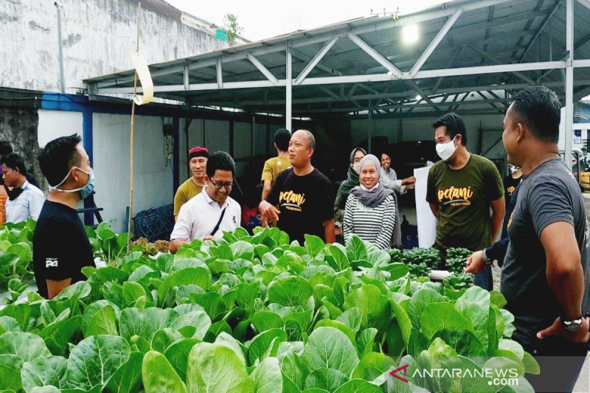 Petani hidroponik di Kotim semakin bersemangat