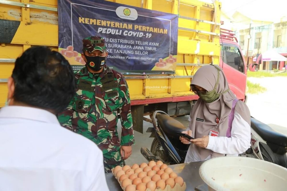 Kaltara Dapat Telur Dari Kementan, Selanjutnya 4 Tahap Lagi