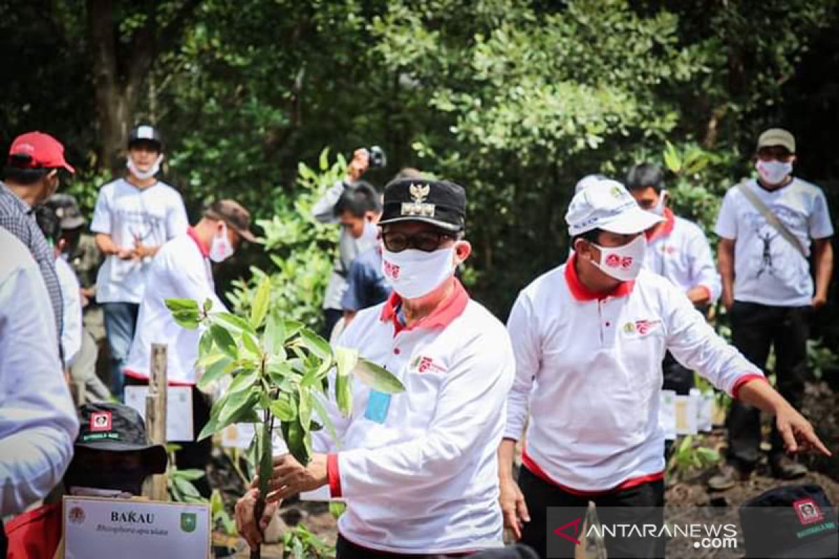 Gubernur Riau tanam 2.020 batang mangrove di Bandar Bakau Dumai