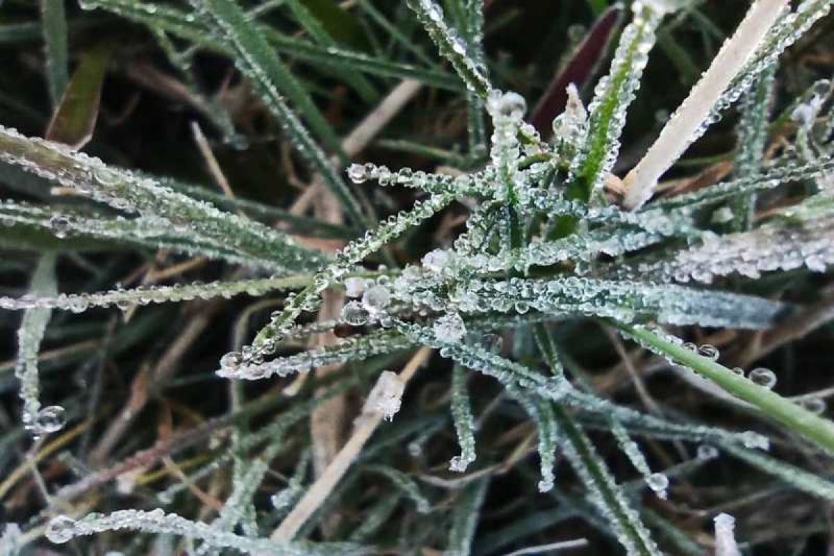 Fenomena embun beku Dieng akibat "monsoon" Australia