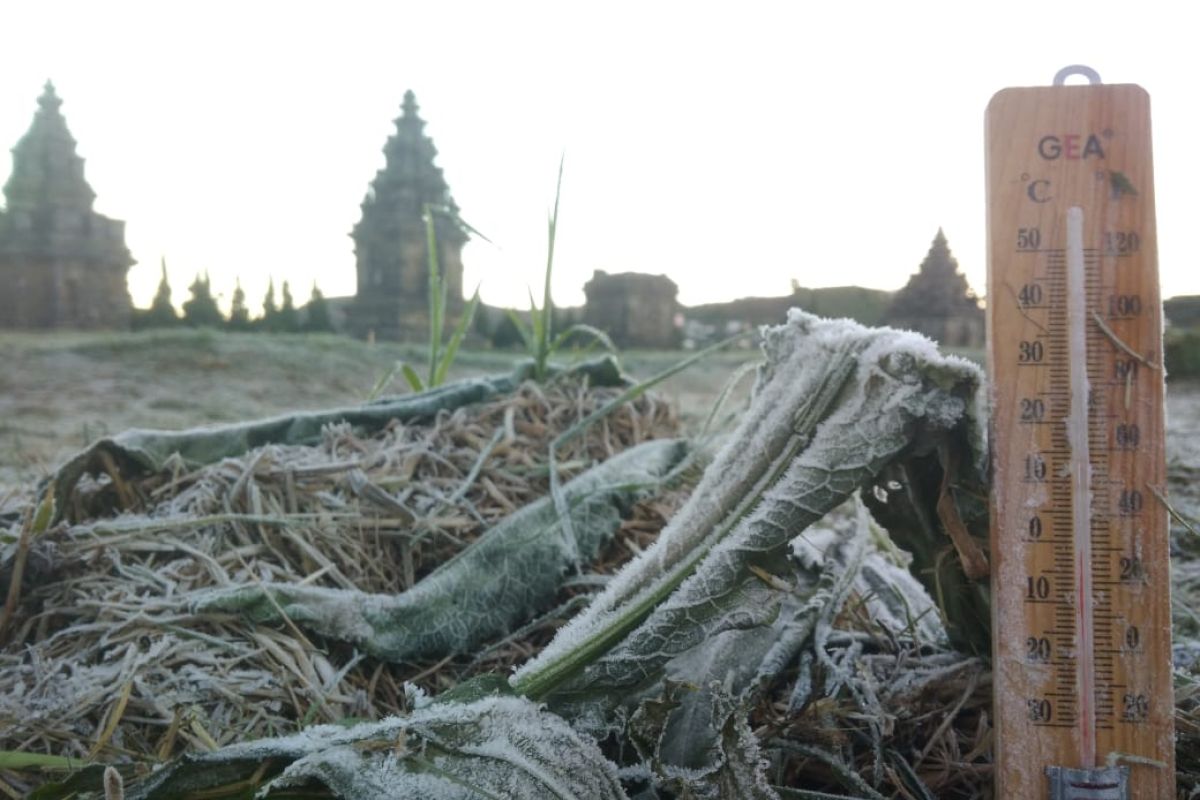 Fenomena embun upas jadi daya tarik wisata di Dieng